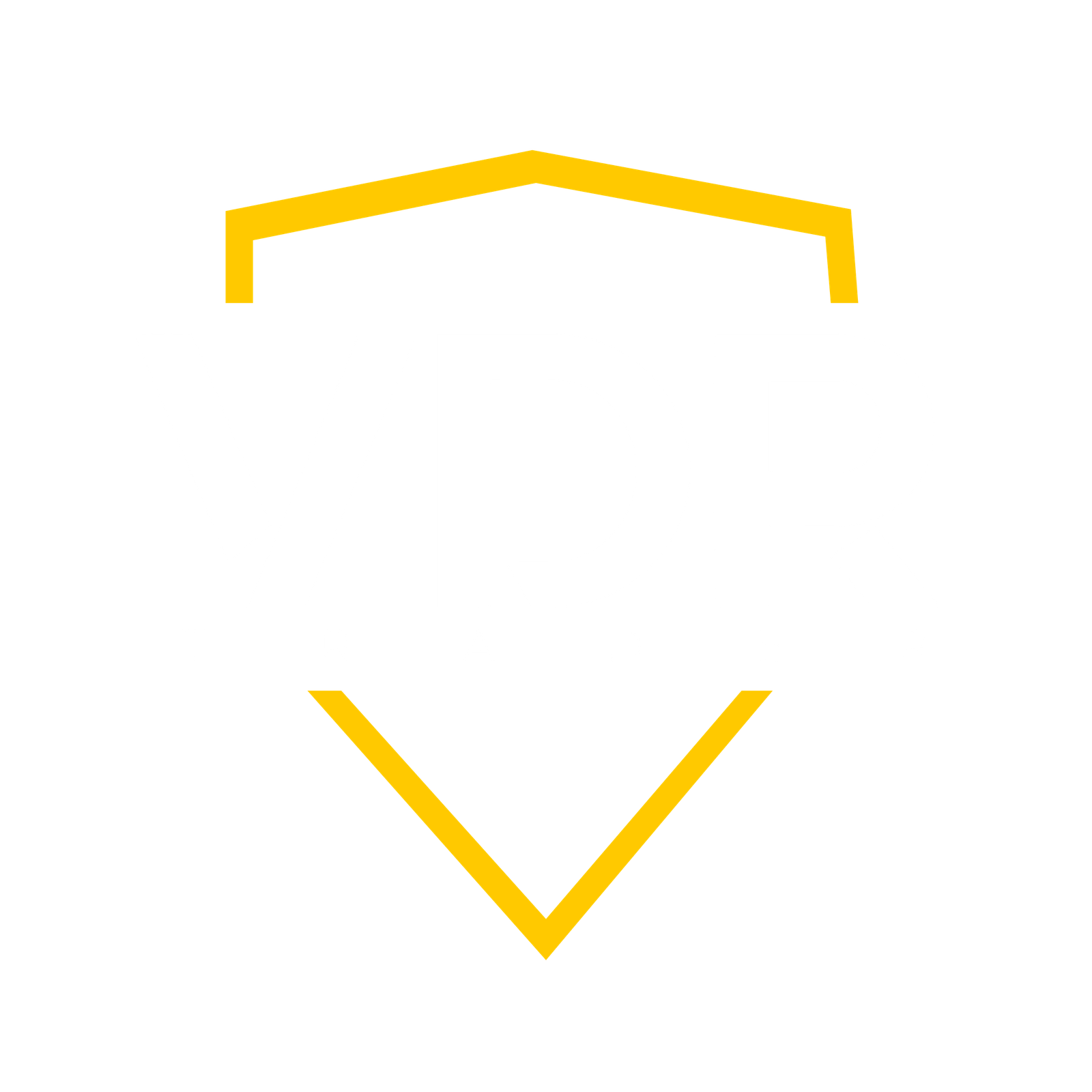 VDR TRADER