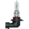 FOCO 12V 65W P20D T4 LONG LIFE