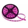 ROLLO LED 5050 DE 5M CON 60 LEDS/M FONDO NEGRO ROSA