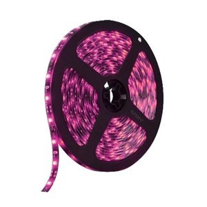 ROLLO LED 3528 DE 5M CON 60 LEDS/M FONDO NEGRO ROSA